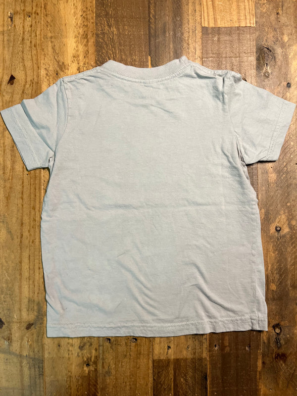 Mollusk -  Lt Grey- 6 years