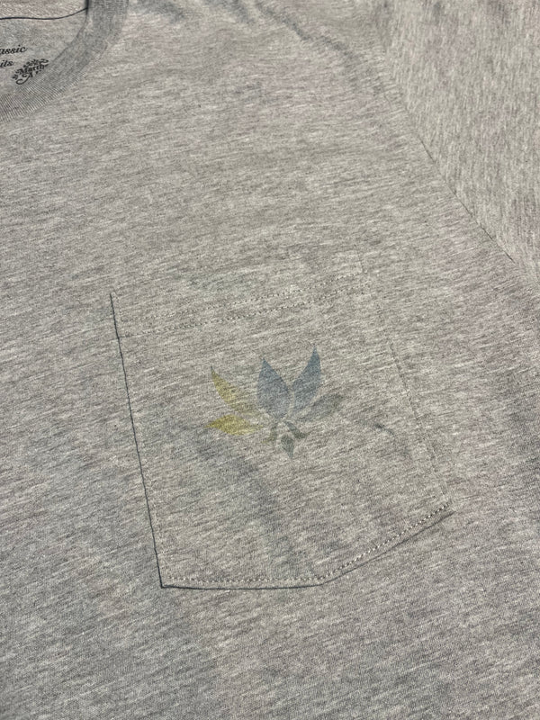 Axxe - Heather Grey - Medium